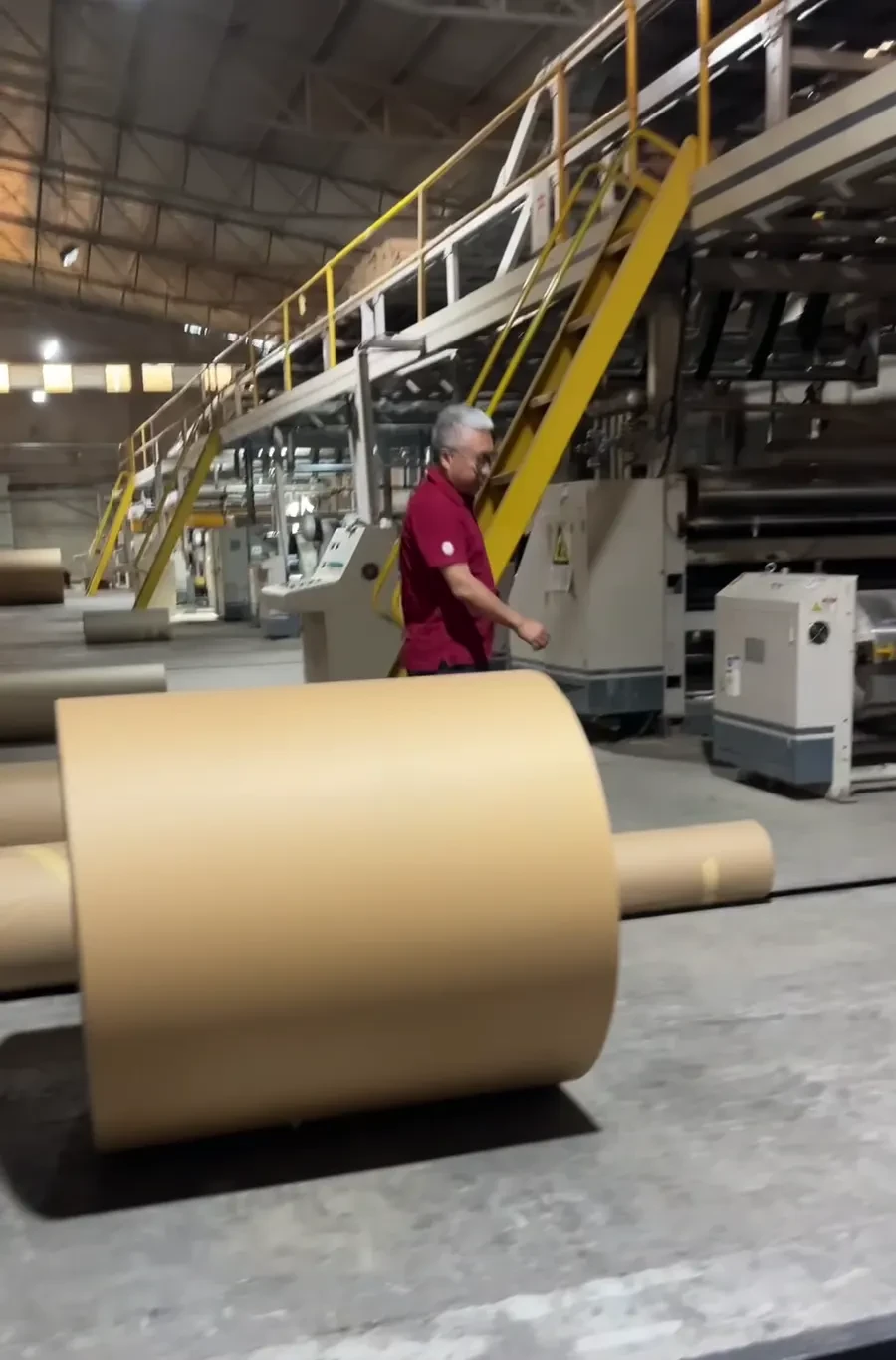 A guide walks between kraft reels and the corrugating line with visitors nearby.